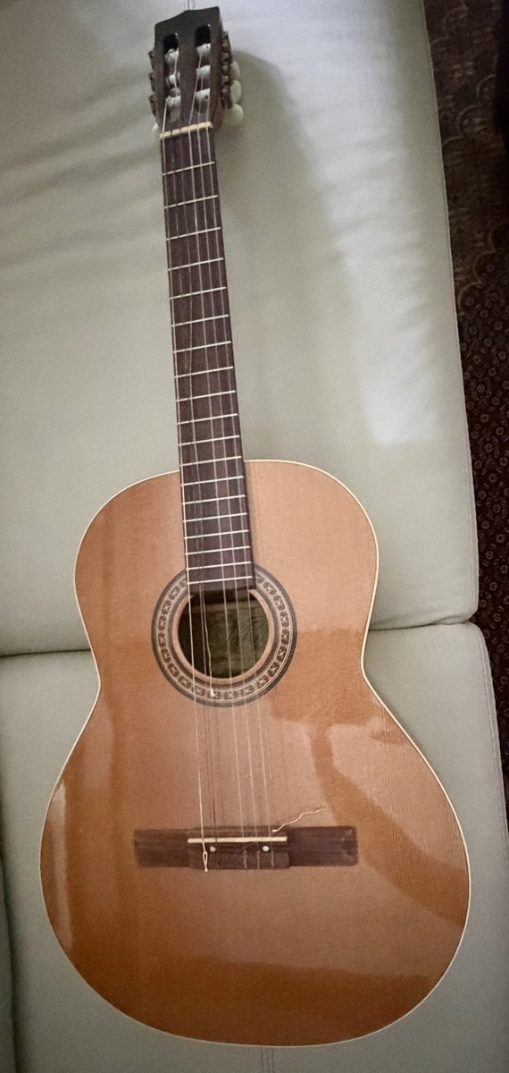 Guitare classique La Patrie Collection