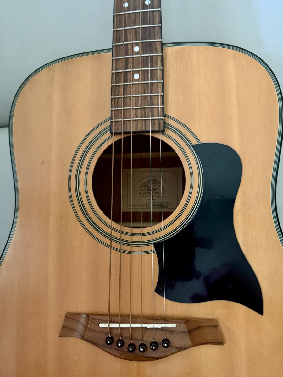 Guitare Tanglewood TW28SNQ, pan coupé